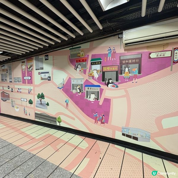 同萌社區一一舖頭貓🐱攝影展📷