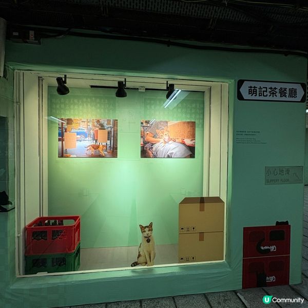 同萌社區一一舖頭貓🐱攝影展📷