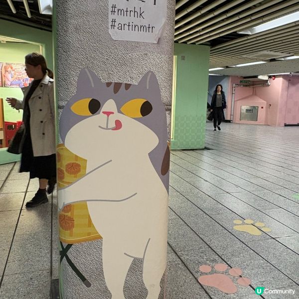 同萌社區一一舖頭貓🐱攝影展📷