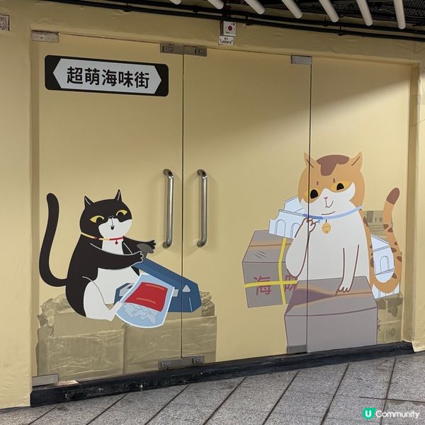 同萌社區一一舖頭貓🐱攝影展📷