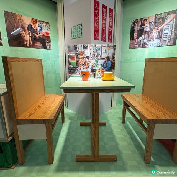 同萌社區一一舖頭貓🐱攝影展📷