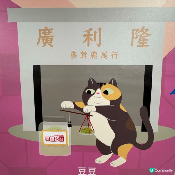 同萌社區一一舖頭貓🐱攝影展📷