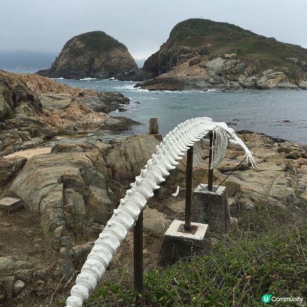 鶴咀秘境，等你探索！🌊🐚