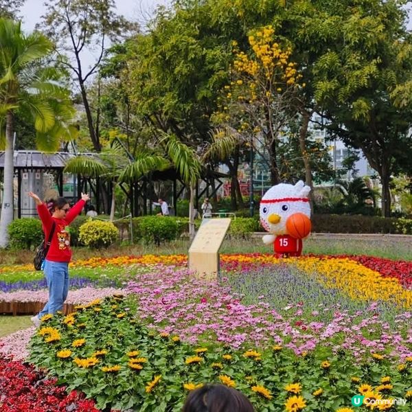 🌸花深時節2025之全運會花海🌸@深水埗