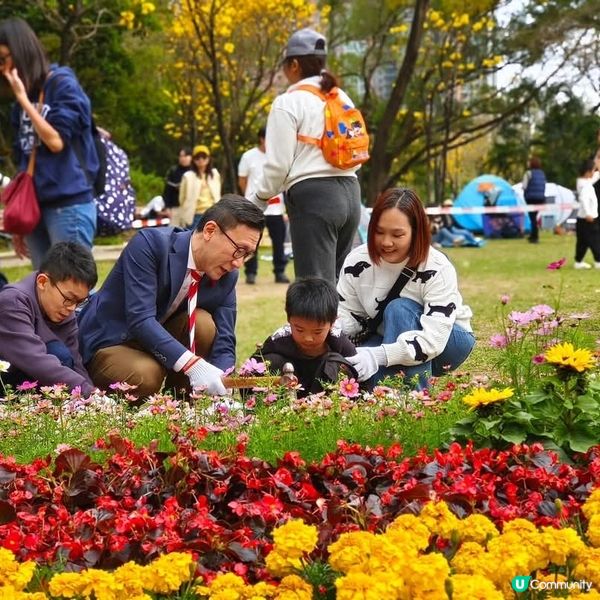 🌸花深時節2025之全運會花海🌸@深水埗