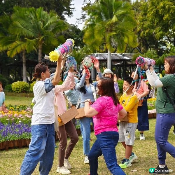 🌸花深時節2025之全運會花海🌸@深水埗