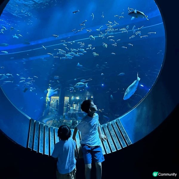 「DMM Kariyushi 水族館」靚到好似藝術館咁，每個...