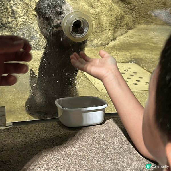 「DMM Kariyushi 水族館」靚到好似藝術館咁，每個...
