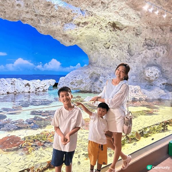 「DMM Kariyushi 水族館」靚到好似藝術館咁，每個...