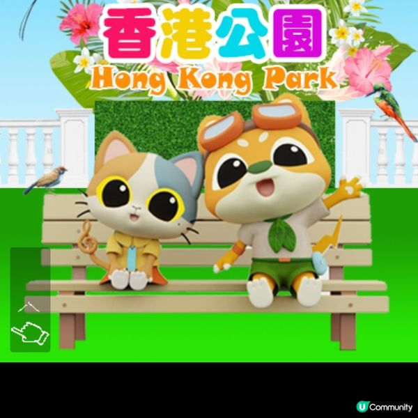 香港公園賞花🌸  心曠神怡😌