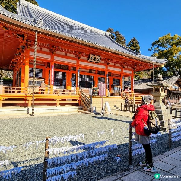 🔥人氣打卡🔥必買🎏祈福「達摩」✨️順路睇瀑布🤗