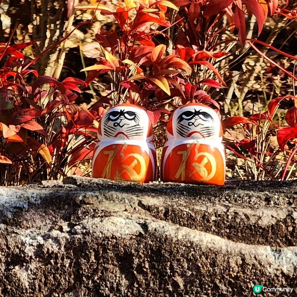 🔥人氣打卡🔥必買🎏祈福「達摩」✨️順路睇瀑布🤗