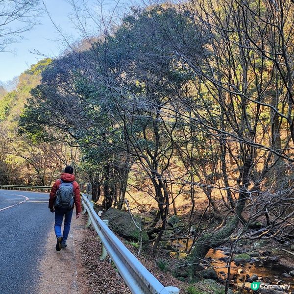 🔥人氣打卡🔥必買🎏祈福「達摩」✨️順路睇瀑布🤗
