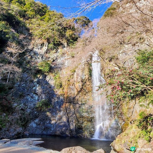 🔥人氣打卡🔥必買🎏祈福「達摩」✨️順路睇瀑布🤗