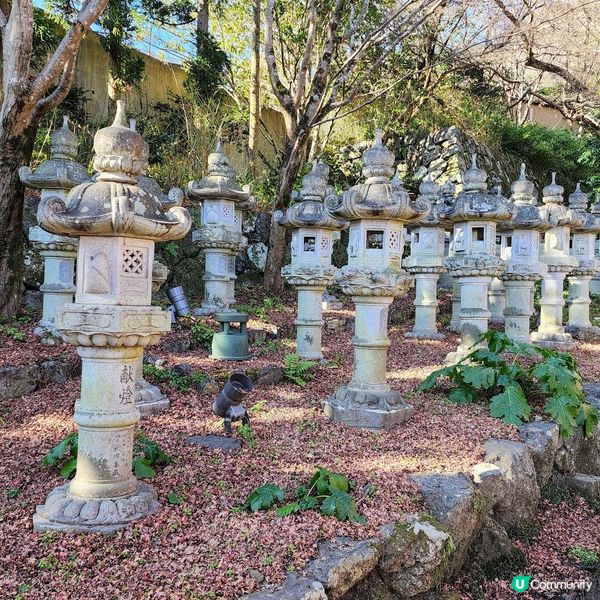 🔥人氣打卡🔥必買🎏祈福「達摩」✨️順路睇瀑布🤗