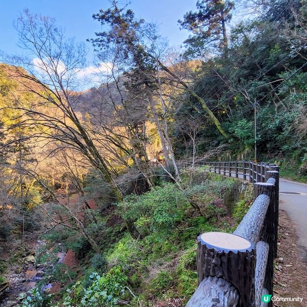 🔥人氣打卡🔥必買🎏祈福「達摩」✨️順路睇瀑布🤗