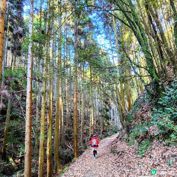 🔥人氣打卡🔥必買🎏祈福「達摩」✨️順路睇瀑布🤗