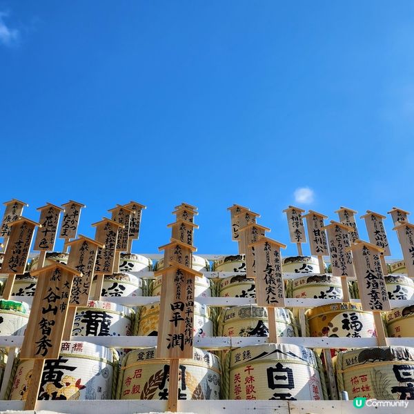 🔥人氣打卡🔥必買🎏祈福「達摩」✨️順路睇瀑布🤗