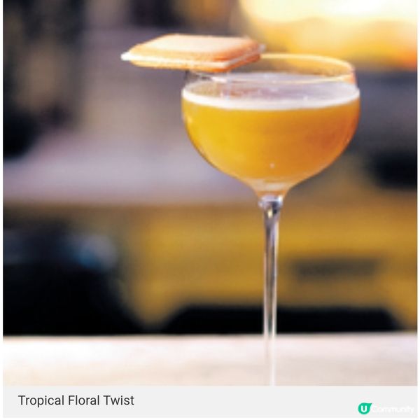 以本地手工氈酒品牌「白蘭樹下」聞名的丹丘蒸留所,其全新概念酒...