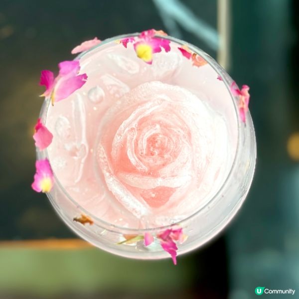 跟小王子約會@獅房菜Lion Rock