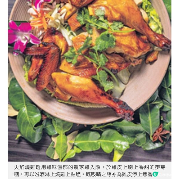 泰國人氣海鮮媽媽麵襲港 Milu Thai燒豬腩香脆有肉