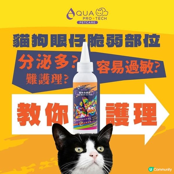 毛孩眼屎多？😭  告別淚痕！✨