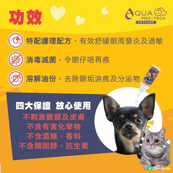 毛孩眼屎多？😭  告別淚痕！✨