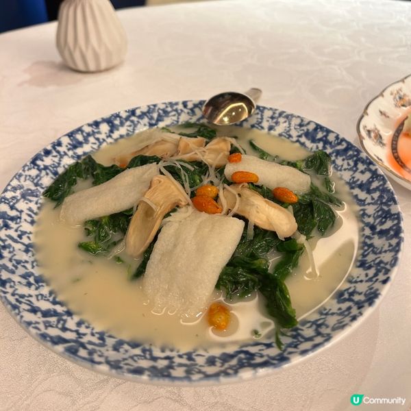 松茸魚湯浸竹笙