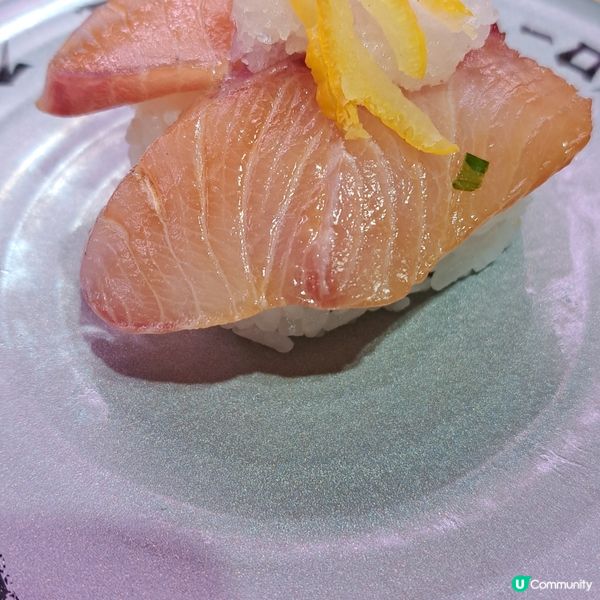 壽司郎品嚐螢光魷魚
