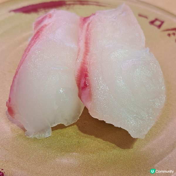 壽司郎品嚐螢光魷魚