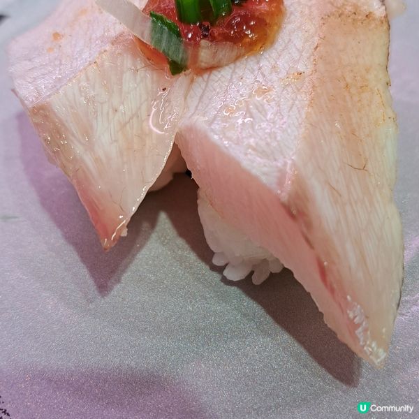 壽司郎品嚐螢光魷魚