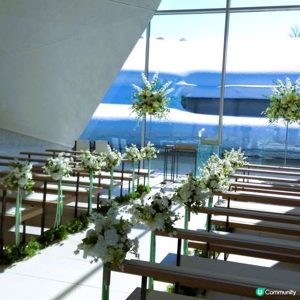 新潟婚禮♡ 加酒店推薦💍😍😍