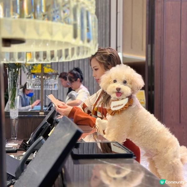 啟德帝盛酒店推寵物Staycation