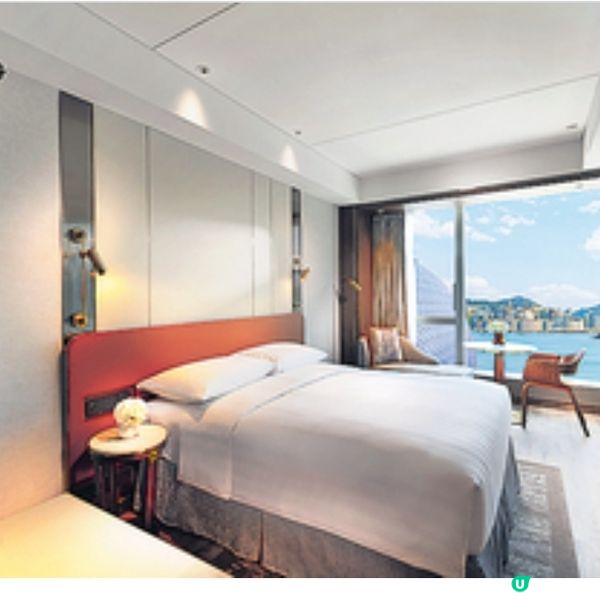 啟德帝盛酒店推寵物Staycation