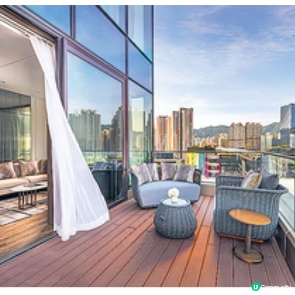 啟德帝盛酒店推寵物Staycation