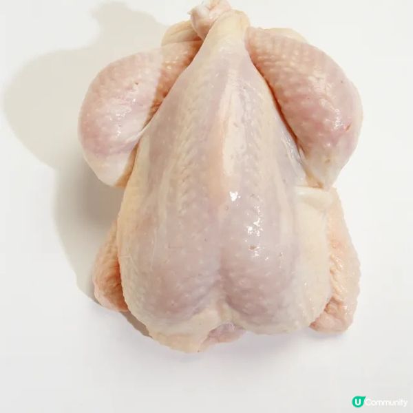 五指毛桃雞肉湯
