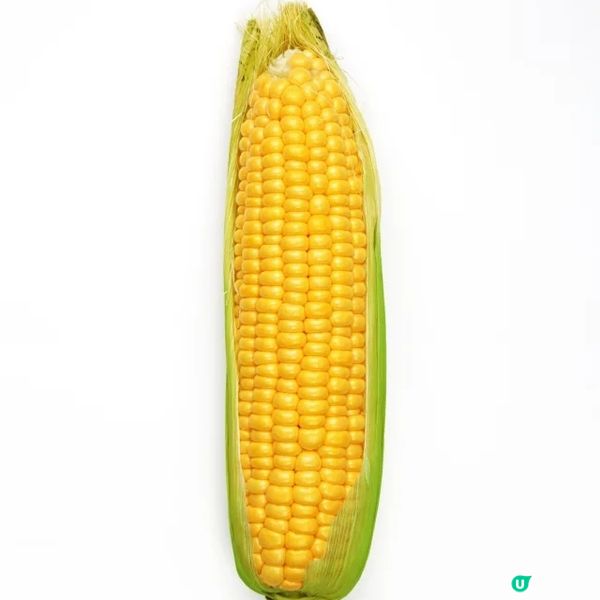 栗米鮮淮山素湯