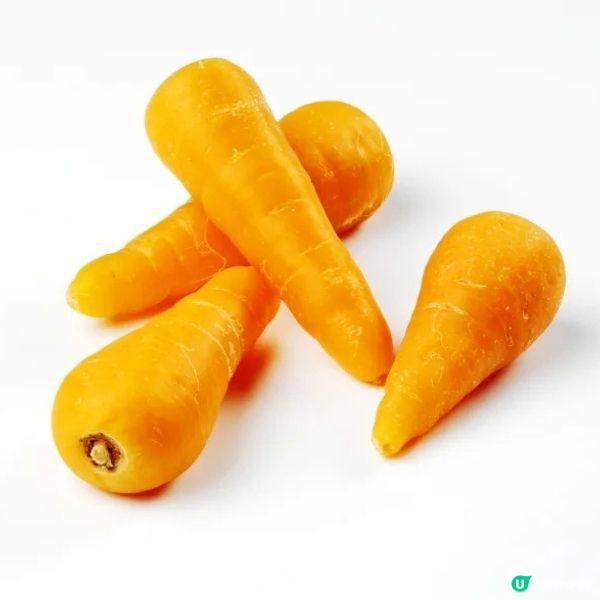 粉葛赤小豆扁豆湯
