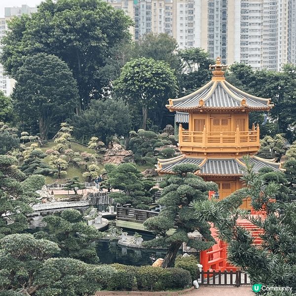 近期去咗鑽石山嘅南蓮池園同志蓮淨苑，成個環境好似去咗日本嘅庭...