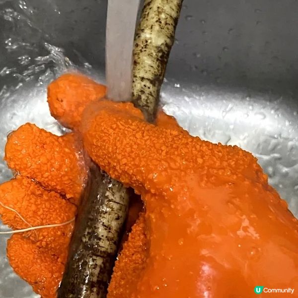 牛蒡蓮子茨實烏雞湯