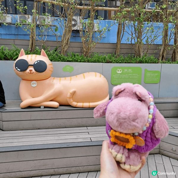 喵🐱～ 發現左個比較少人提及但好可愛嘅打卡點。喺APM Fo...