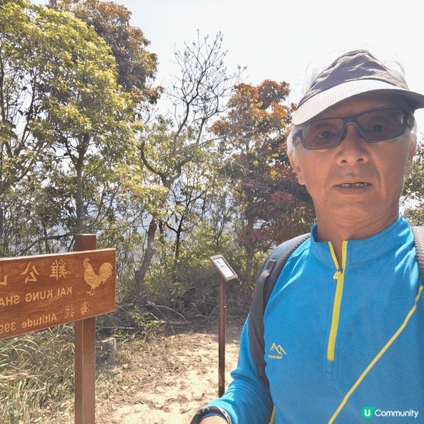 這幾張相是我在麥理浩徑行山時候影的