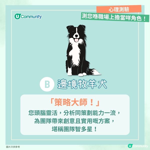 【心理測驗🍀】職場角色大揭秘🔎！