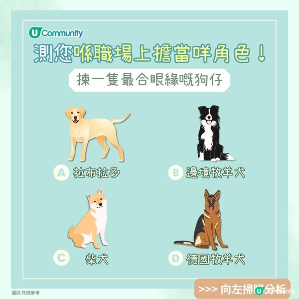 【心理測驗🍀】職場角色大揭秘🔎！