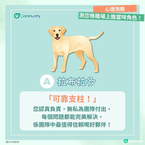 【心理測驗🍀】職場角色大揭秘🔎！