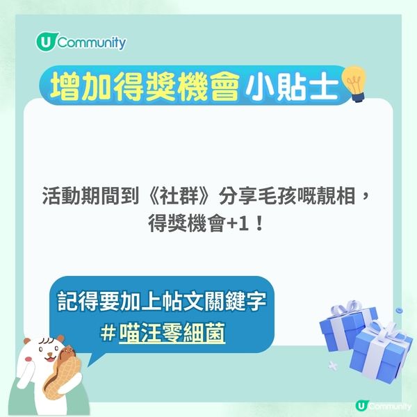 【心理測驗🍀】職場角色大揭秘🔎！