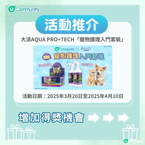 【心理測驗🍀】職場角色大揭秘🔎！