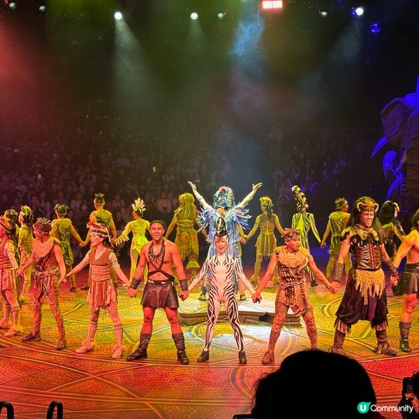 🇭🇰去香港迪士尼最不能錯過嘅兩個Show🔥