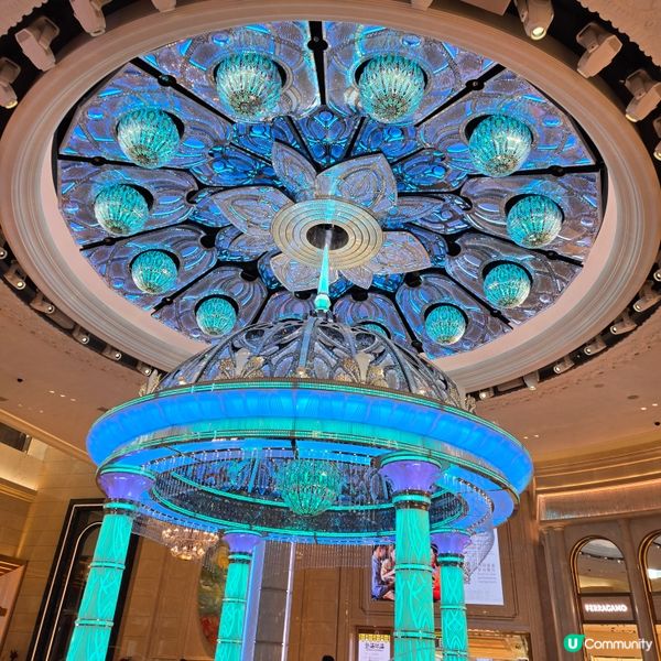 #澳門必食 #澳門必買 #澳門必玩 #澳門打卡 #葡撻 #豬...