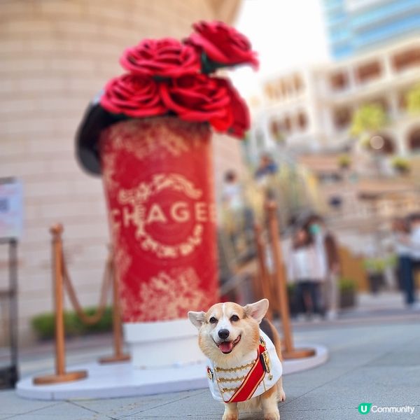 霸王茶姬1881茶友限定店嘉年華登場！💖